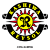 Kashiwa Reysol Piłka nożna