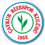 Çaykur Rizespor Piłka nożna