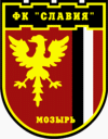 Slavia Mozyr Piłka nożna