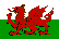 Wales Fotboll