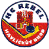 Obrázek