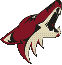 Arizona Coyotes Hokej