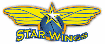 Logo týmu