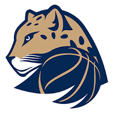 Levhartice Chomutov W Basketbal