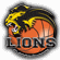 BK Lions J. Hradec Koszykówka