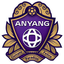 FC Anyang Piłka nożna