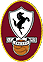 AC Arezzo Fotbal