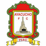 Logo týmu