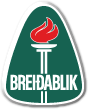 Breidablik Kopavogur 足球