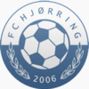 Vendsyssel FF Fotbal