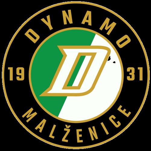 Logo týmu