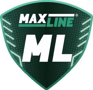 Logo týmu