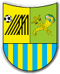 Metalist Kharkiv Fotbal