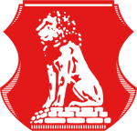 Logo týmu