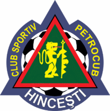 Logo týmu