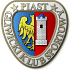 Logo týmu