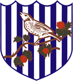 West Bromwich Albion Fotbal