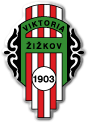 Logo týmu