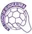 BM Guadalajara Piłka ręczna