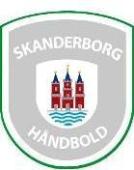 Skanderborg Házená