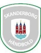 Skanderborg Handebol