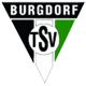 TSV Burgdorf 手球