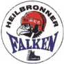 Heilbronner Falken Hokej