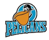 Pelicans Lahti Hokej