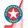 Horácká Slavia Třebíč Hokej