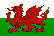  Cymru Premier tipy